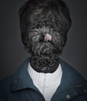 dogs dressed like their owners