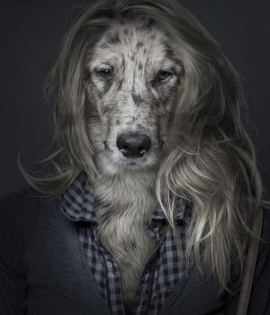 dogs dressed like their owners