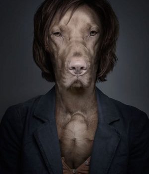 dogs dressed like their owners