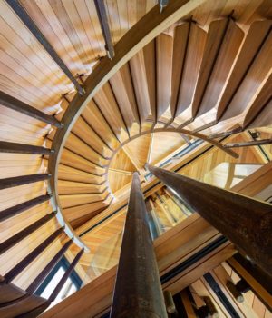 Fucking Good Ideas Tree House By Mv Architecture 6
